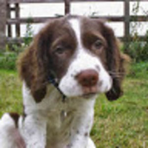 Meet your Posher, Tim